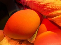 Фото проститутки Карина №2 в городе Вологда